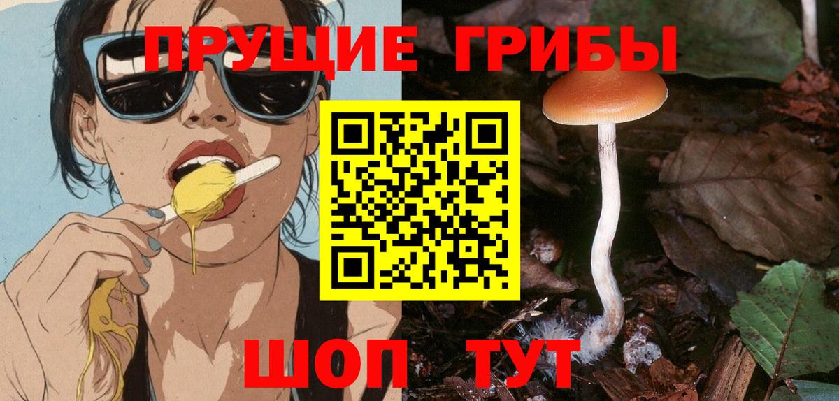 Галлюциногенные грибы ЛСД  Псилоцибиновые грибы MAGIC MUSHROOMS  Нальчик  Вход с VPN 